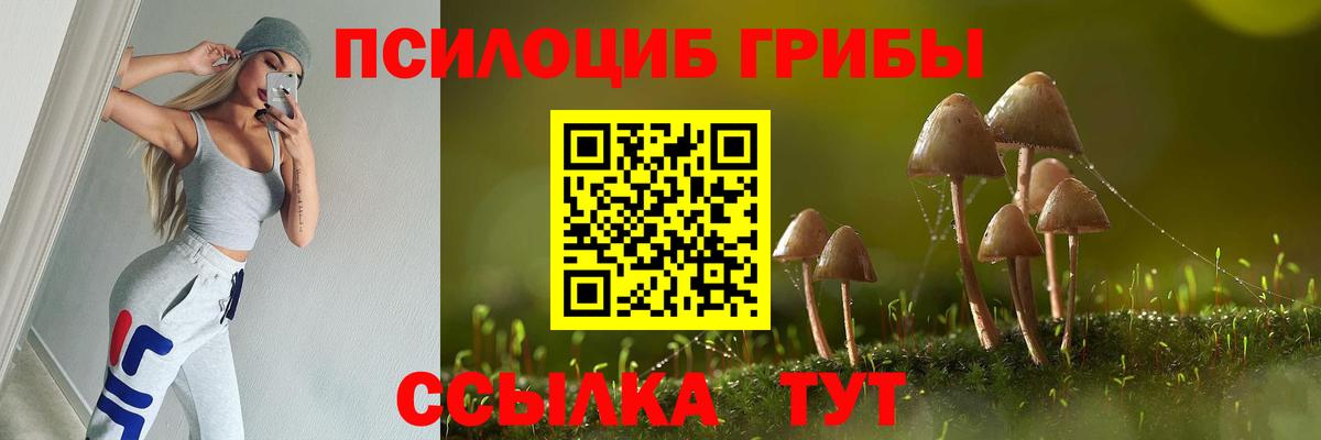 Галлюциногенные грибы GOLDEN TEACHER  Псилоцибиновые грибы Cubensis  Мурино  Вход с VPN 